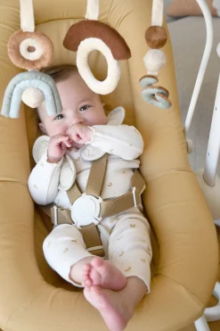 BÉABA Accessoires Transat><noscript><img width=