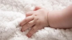 BÉABA Chancelieres Et Nids D'Ange><noscript><img width=