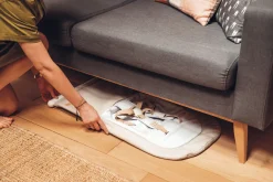 BÉABA Transat Compact><noscript><img width=